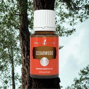 🌱 CEDARWOOD ESSENTIAL OIL 15ML BY YOUNG LIVING. 🌱NEW🌱